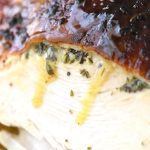 Turkey with Butter Under Skin