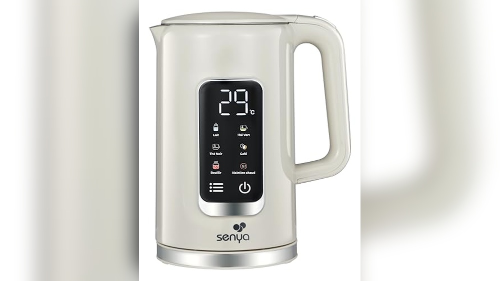 Best Electric Kettle (Variable Temperature)