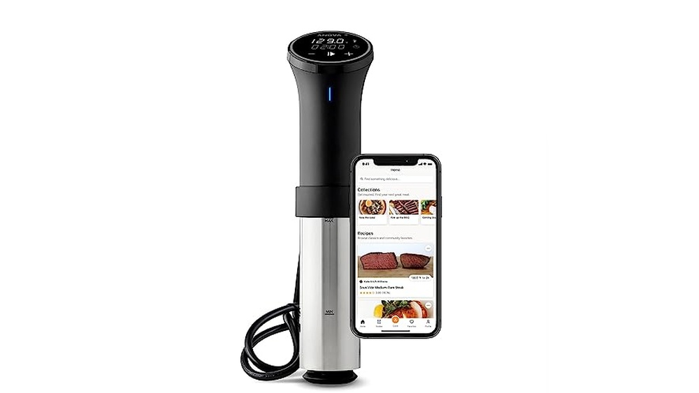 Best Sous Vide Cooker