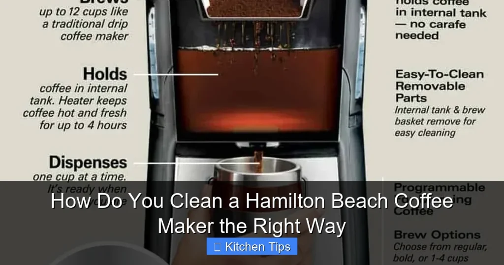 How Do You Clean a Hamilton Beach Coffee Maker the Right Way