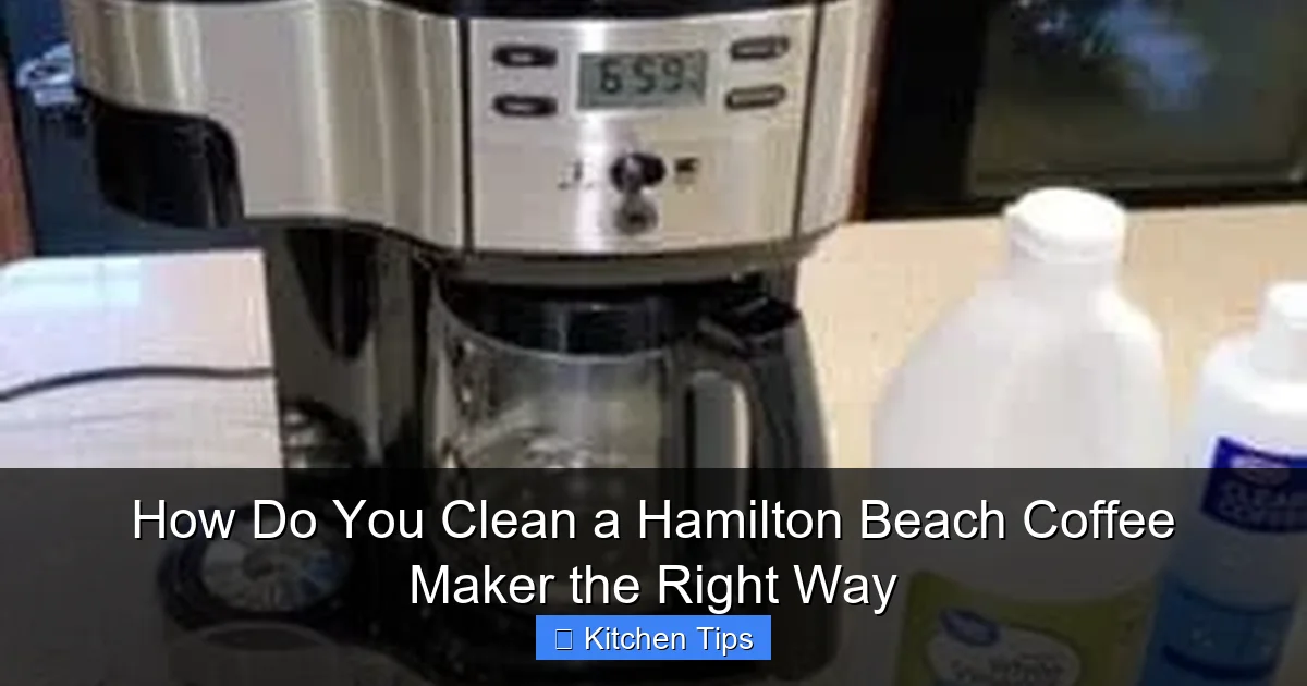 How Do You Clean a Hamilton Beach Coffee Maker the Right Way