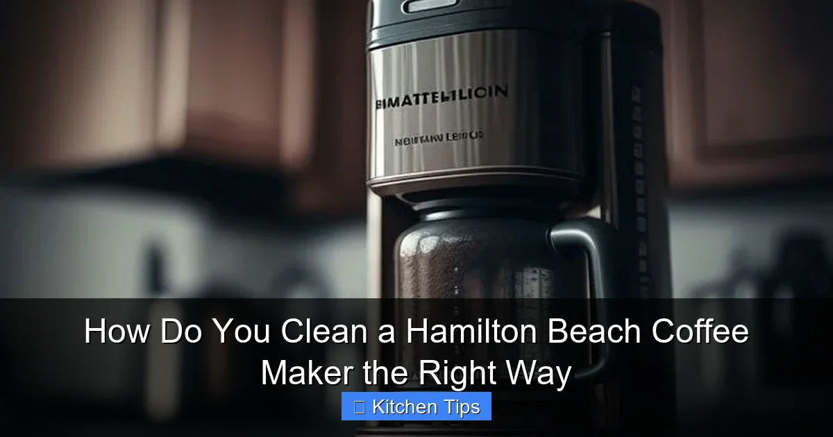 How Do You Clean a Hamilton Beach Coffee Maker the Right Way