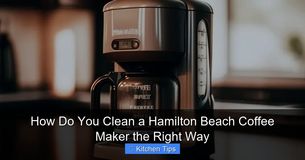 How Do You Clean a Hamilton Beach Coffee Maker the Right Way