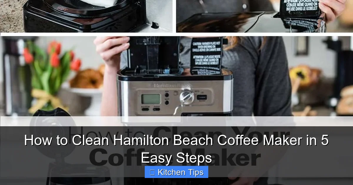 How to Clean Hamilton Beach Coffee Maker in 5 Easy Steps