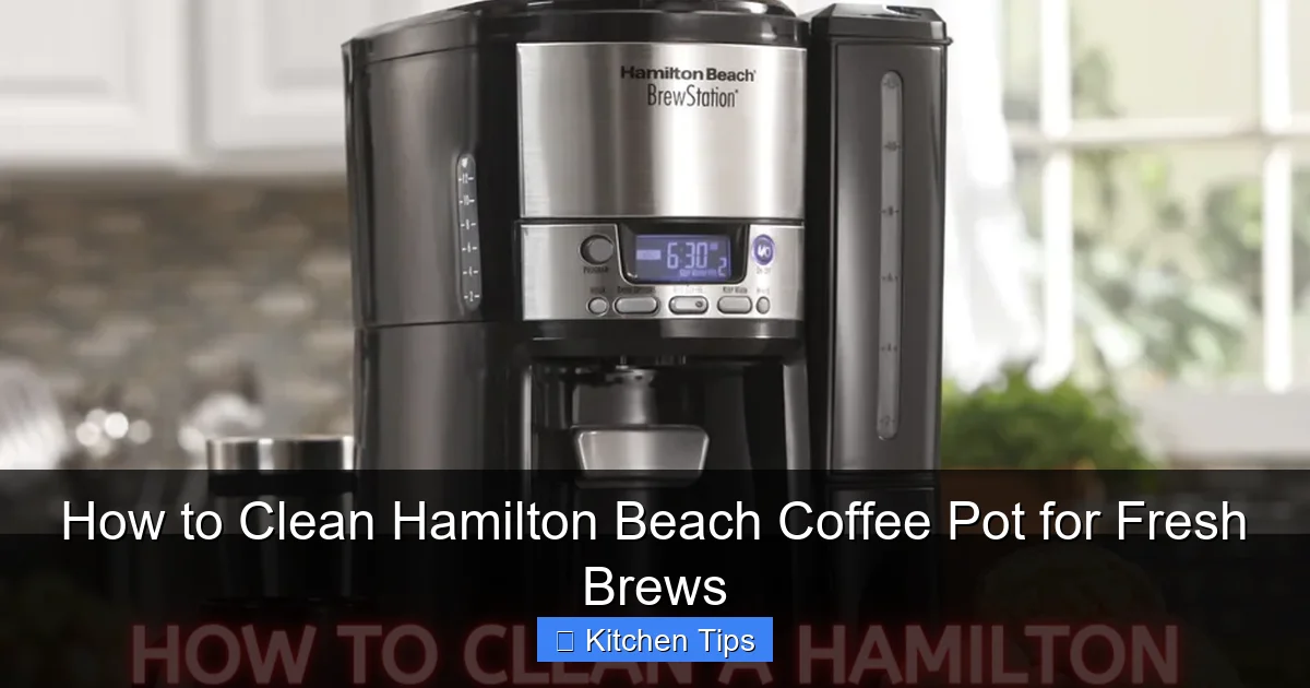 How to Clean Hamilton Beach Coffee Pot for Fresh Brews