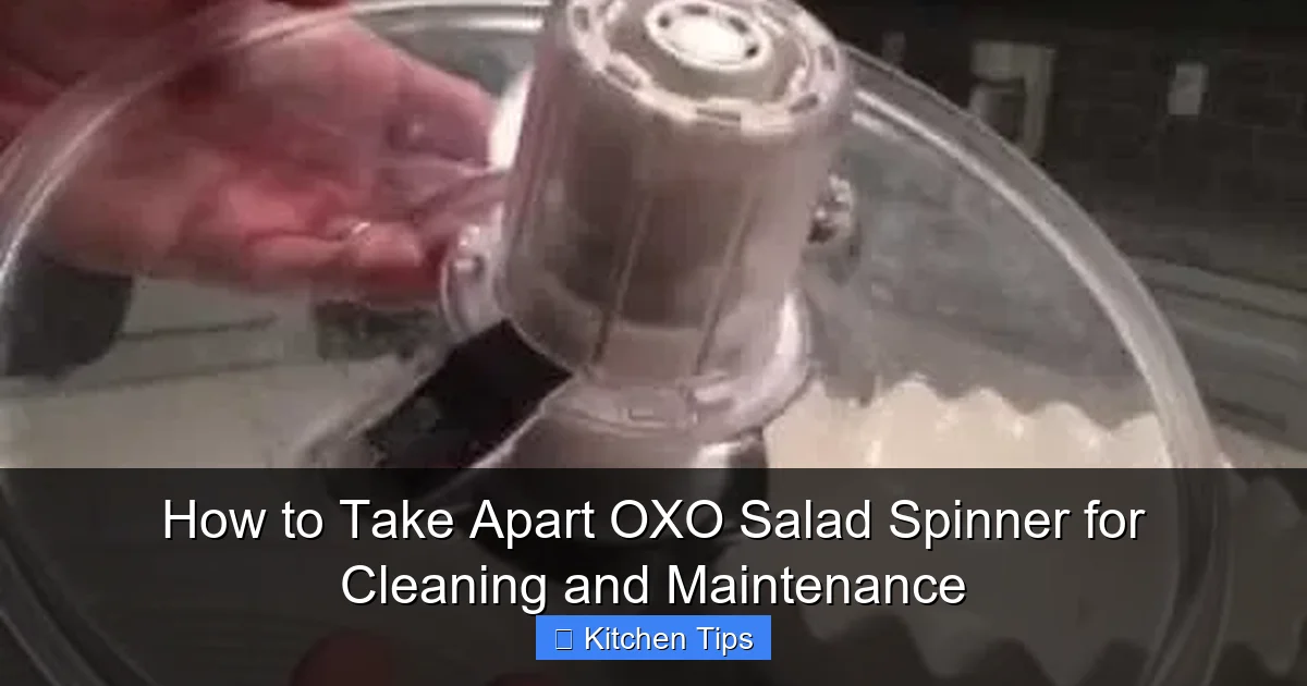 How to Take Apart OXO Salad Spinner for Cleaning and Maintenance