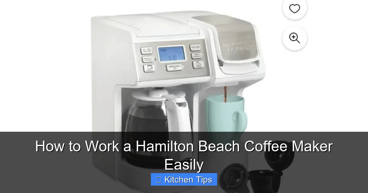 How to Work a Hamilton Beach Coffee Maker Easily