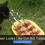 BBQ Chicken Looks Like Cat But Tastes Amazing