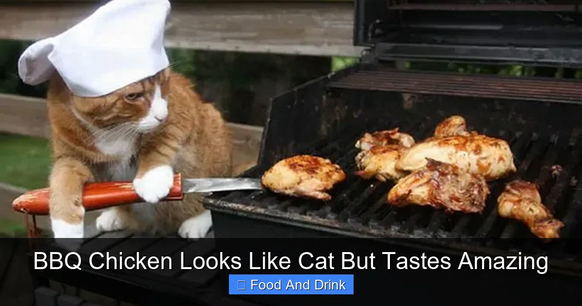 BBQ Chicken Looks Like Cat But Tastes Amazing