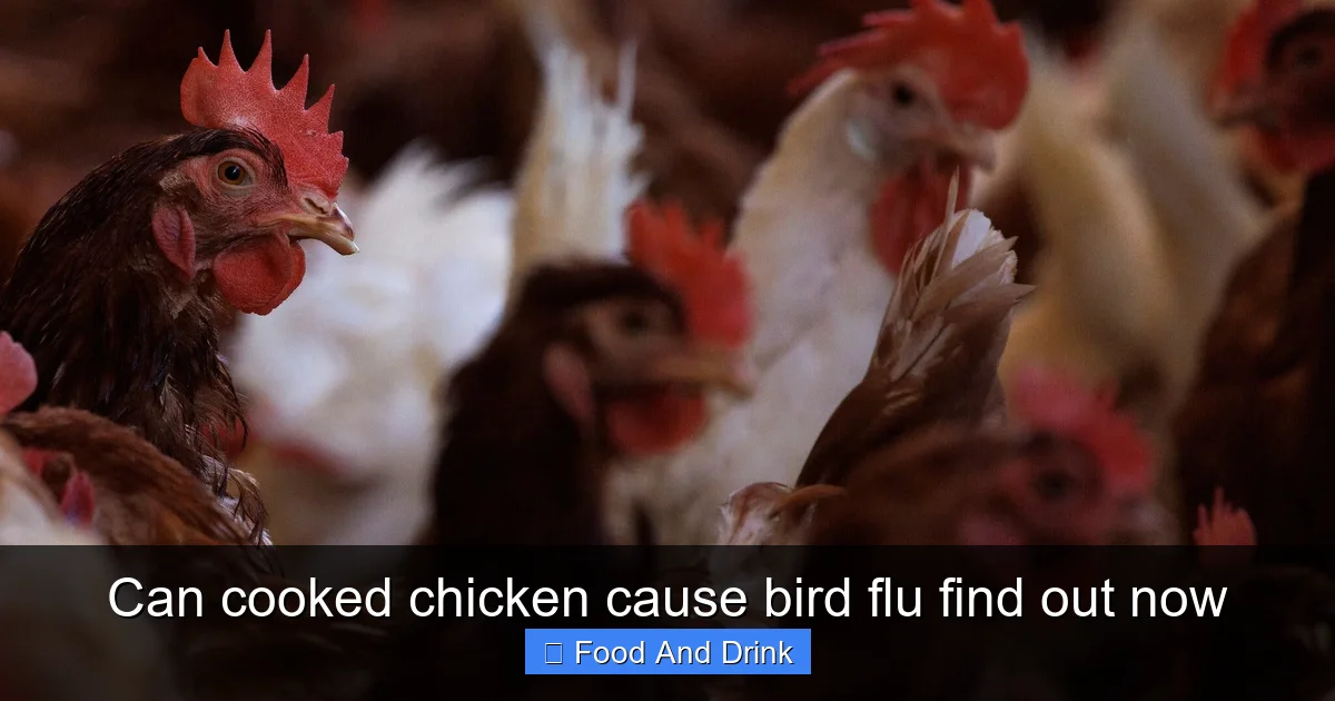 Can cooked chicken cause bird flu find out now