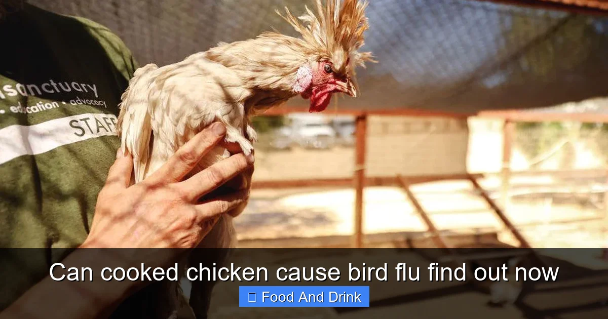 Can cooked chicken cause bird flu find out now