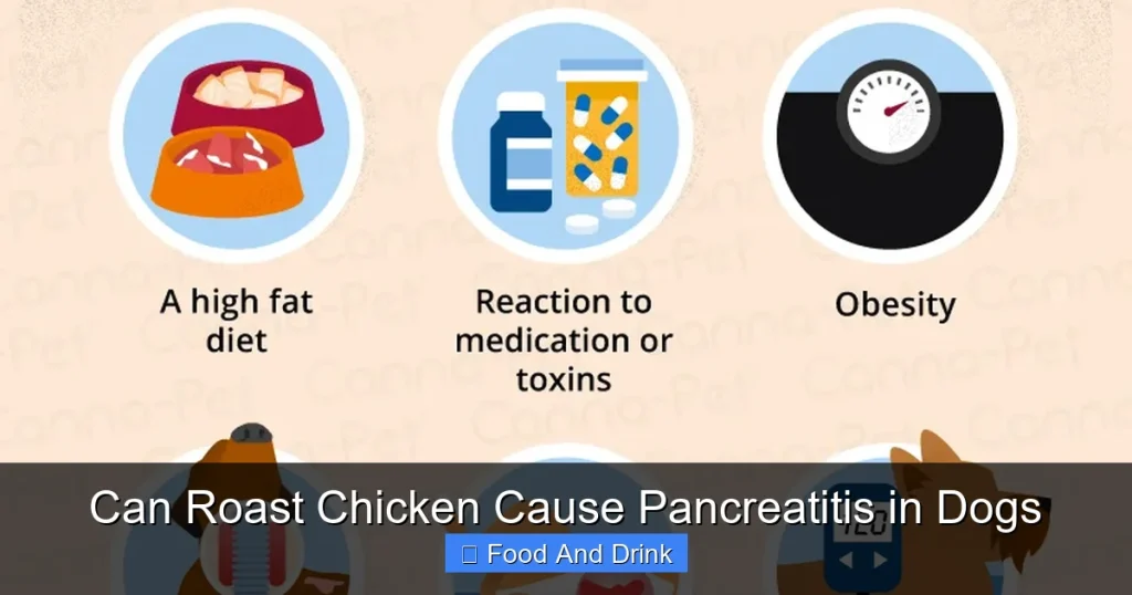Can Roast Chicken Cause Pancreatitis in Dogs