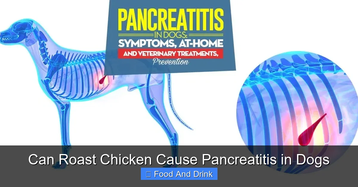 Can Roast Chicken Cause Pancreatitis in Dogs