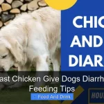 Can Roast Chicken Give Dogs Diarrhea Safe Feeding Tips