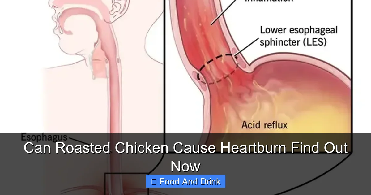 Can Roasted Chicken Cause Heartburn Find Out Now