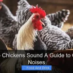 How Do Chickens Sound A Guide to Chicken Noises