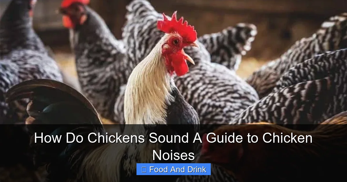How Do Chickens Sound A Guide to Chicken Noises | Luna's Kitchen Tips