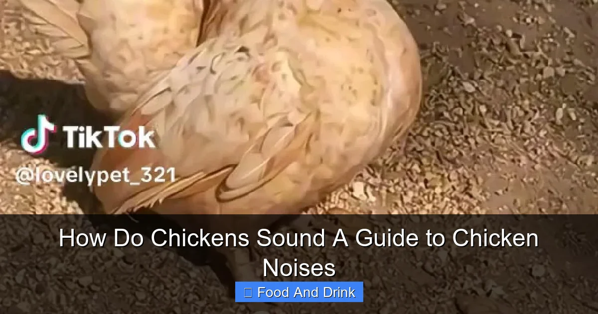 How Do Chickens Sound A Guide to Chicken Noises