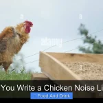 How Do You Write a Chicken Noise Like a Pro