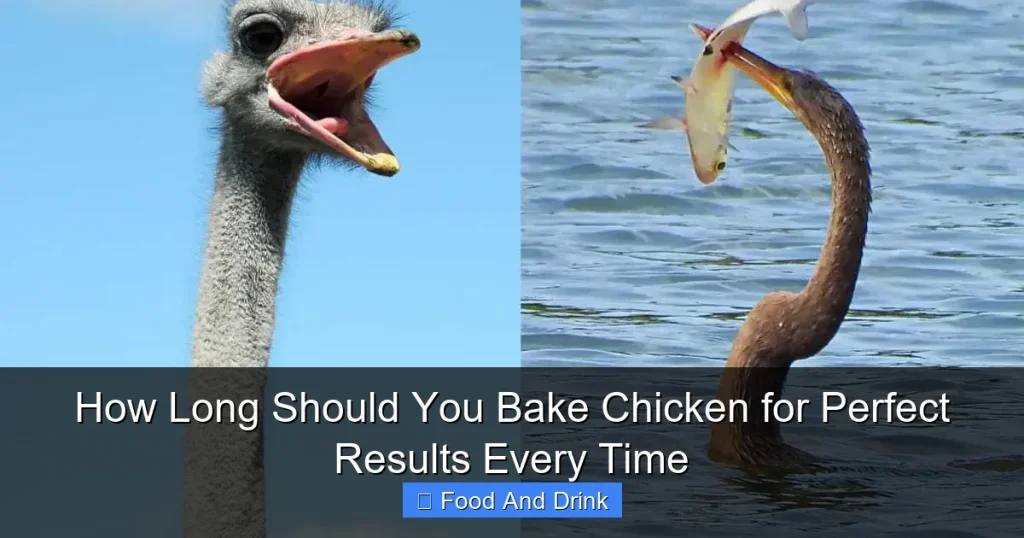 How Long Should You Bake Chicken for Perfect Results Every Time