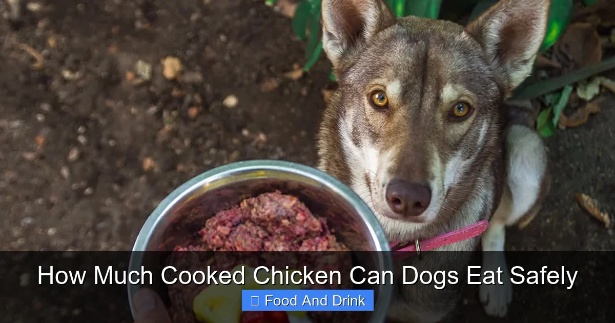 How Much Cooked Chicken Can Dogs Eat Safely