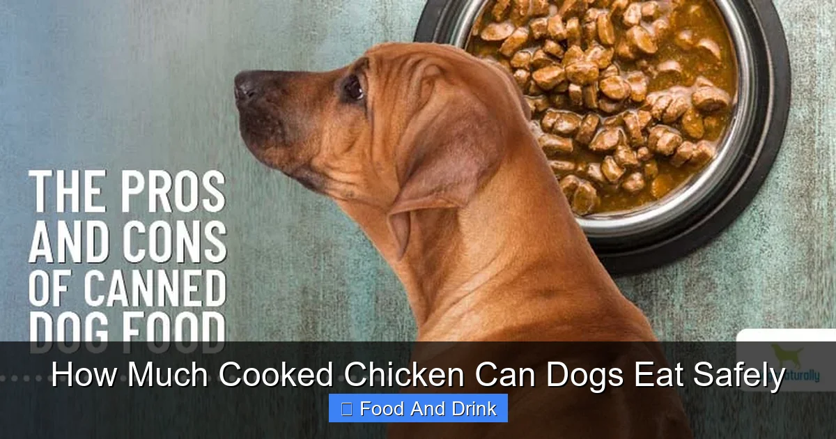 How Much Cooked Chicken Can Dogs Eat Safely