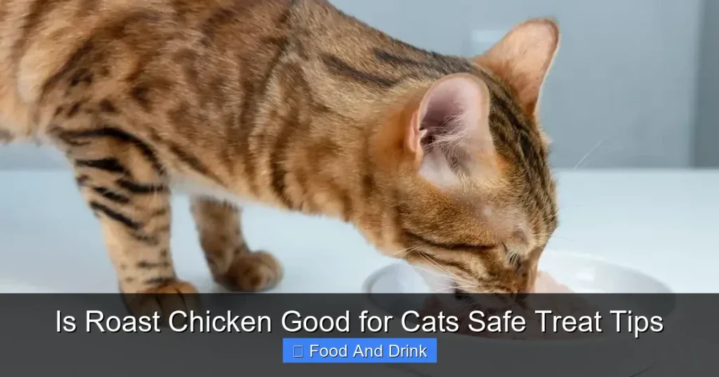 Is Roast Chicken Good for Cats Safe Treat Tips