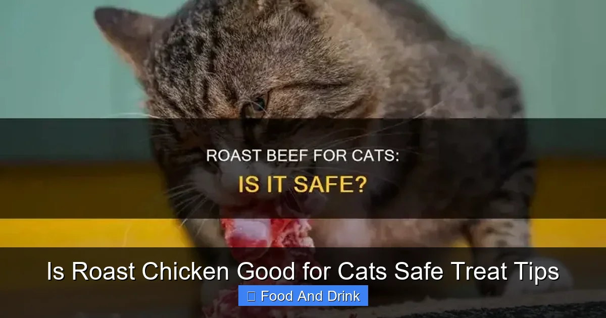 Is Roast Chicken Good for Cats Safe Treat Tips