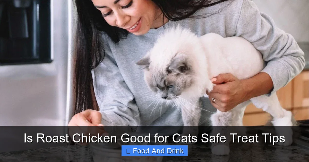 Is Roast Chicken Good for Cats Safe Treat Tips