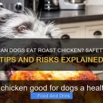 Is roast chicken good for dogs a healthy treat