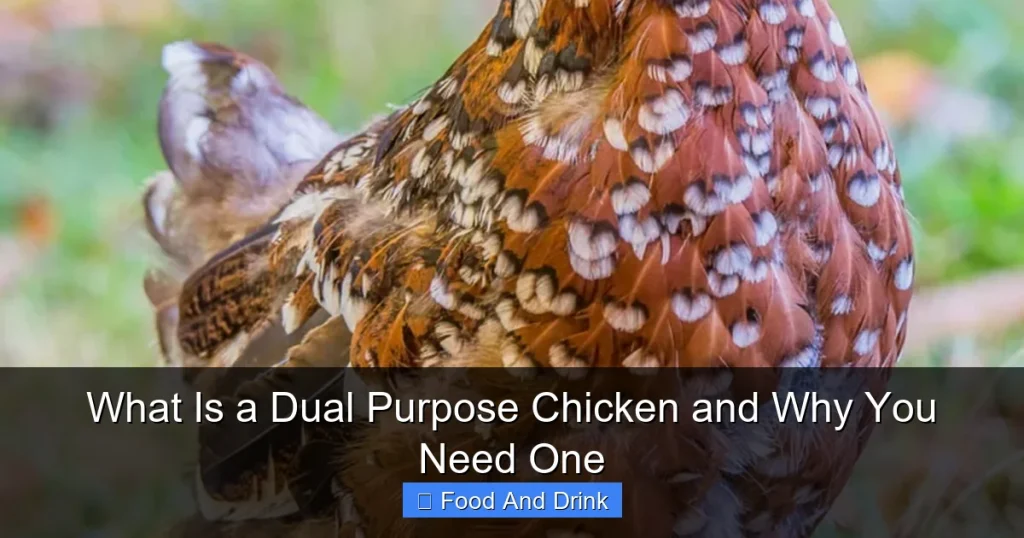 What Is a Dual Purpose Chicken and Why You Need One