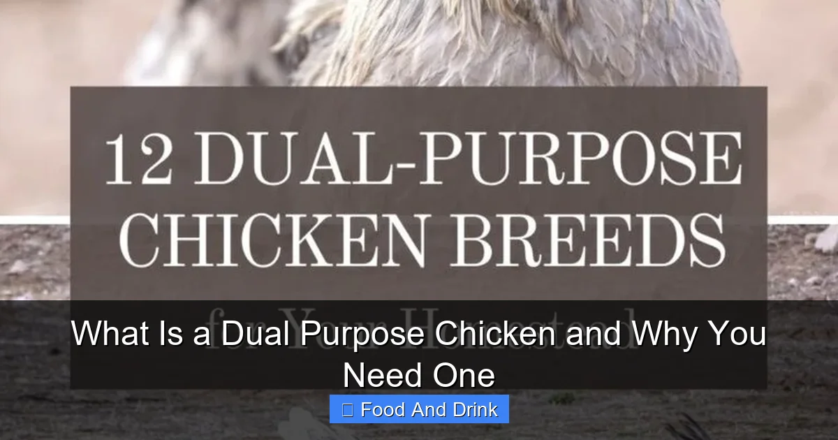 What Is a Dual Purpose Chicken and Why You Need One