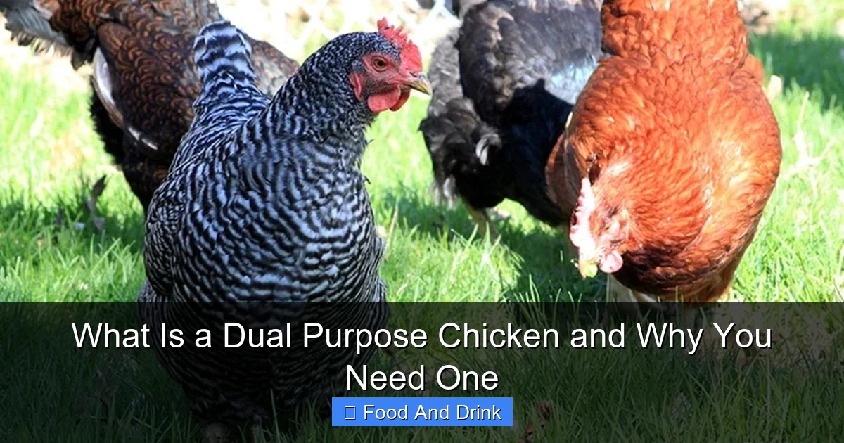 What Is a Dual Purpose Chicken and Why You Need One