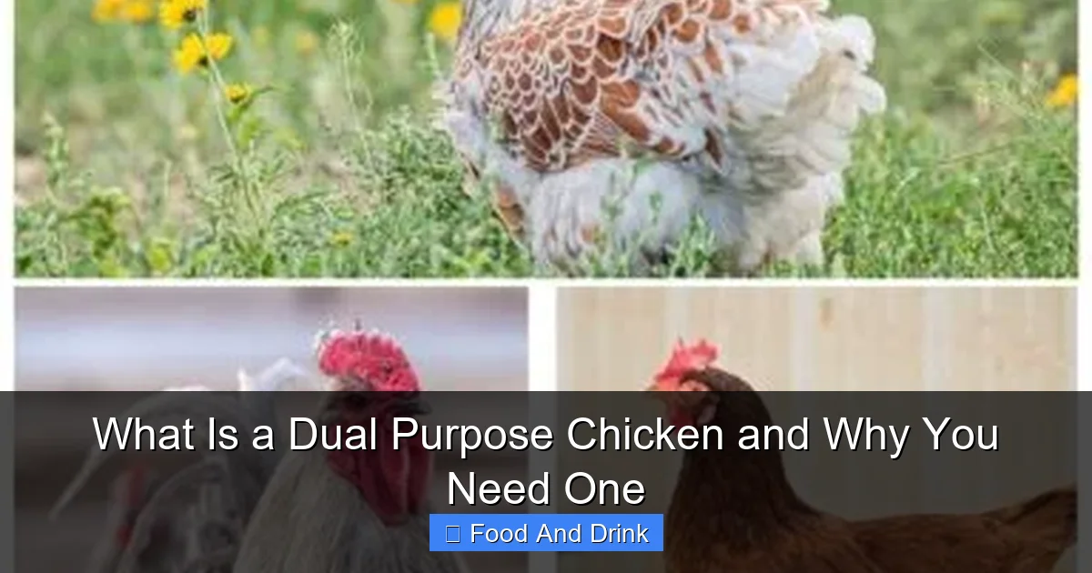 What Is a Dual Purpose Chicken and Why You Need One