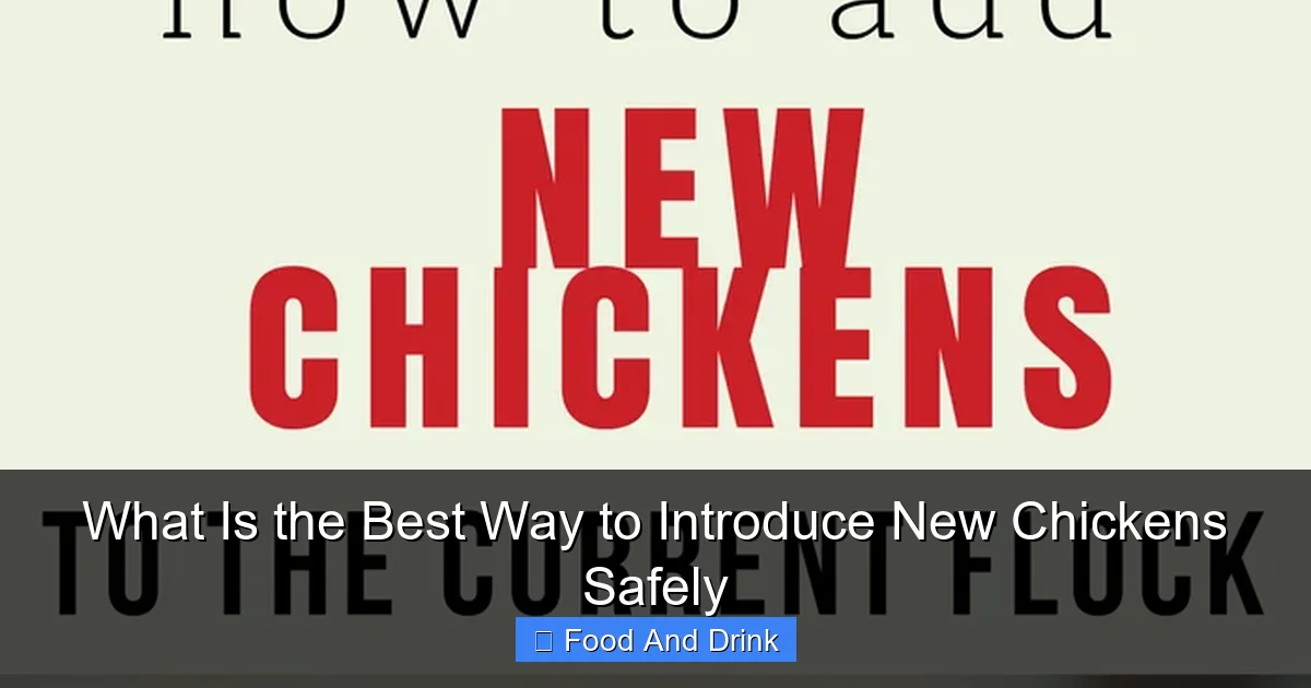 What Is the Best Way to Introduce New Chickens Safely