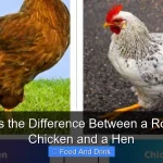 What Is the Difference Between a Roasting Chicken and a Hen