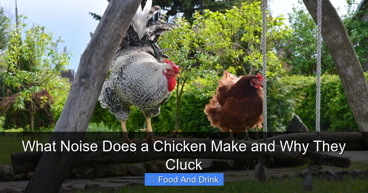 What Noise Does a Chicken Make and Why They Cluck