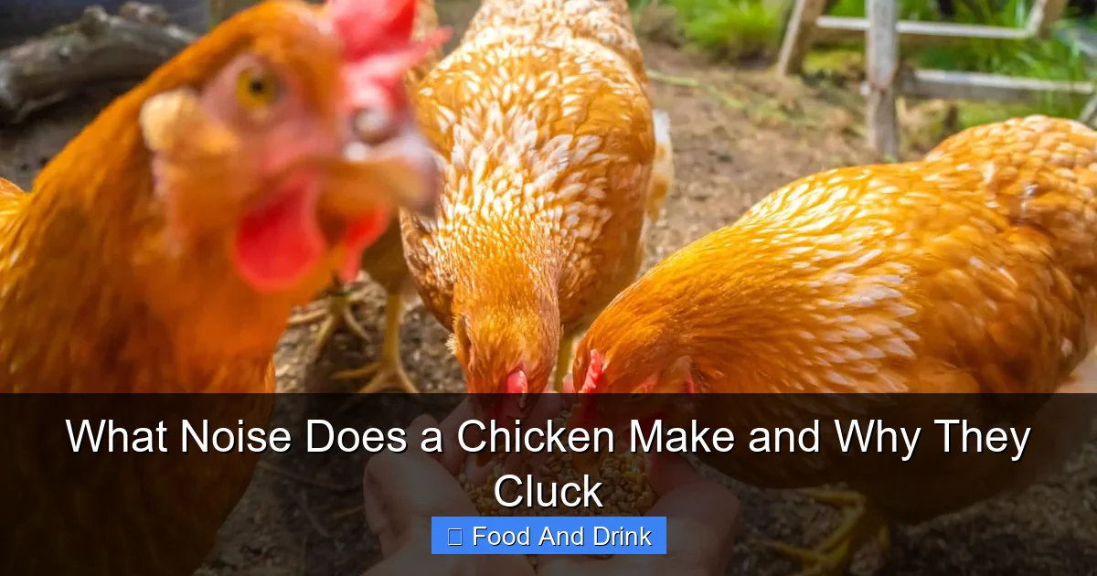 What Noise Does a Chicken Make and Why They Cluck