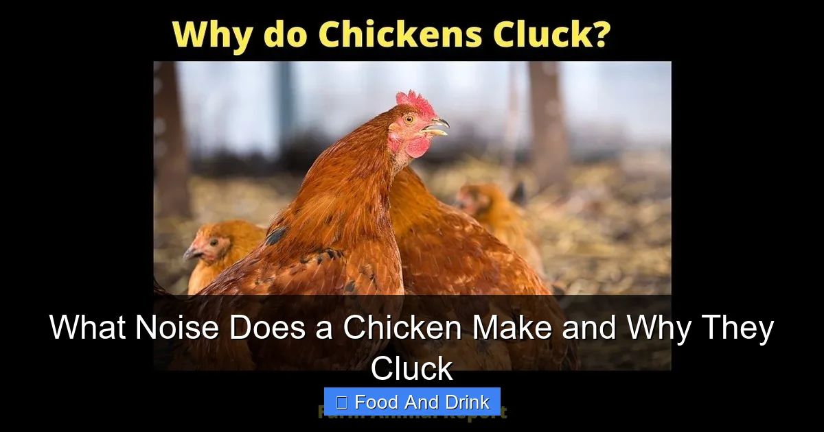 What Noise Does a Chicken Make and Why They Cluck