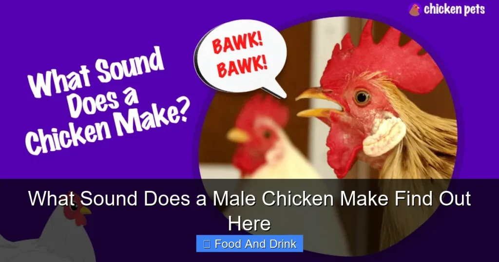 What Sound Does a Male Chicken Make Find Out Here