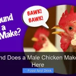 What Sound Does a Male Chicken Make Find Out Here
