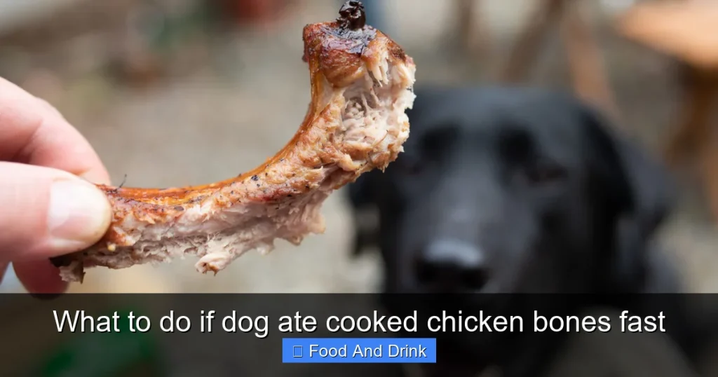 What to do if dog ate cooked chicken bones fast