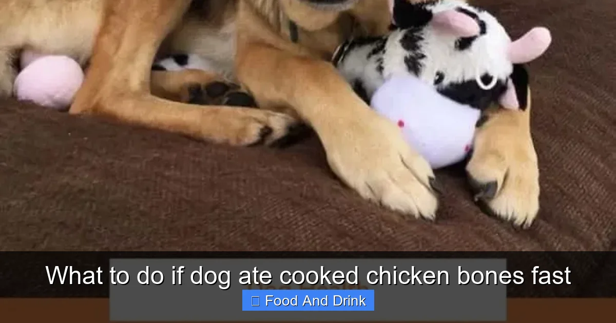 What to do if dog ate cooked chicken bones fast