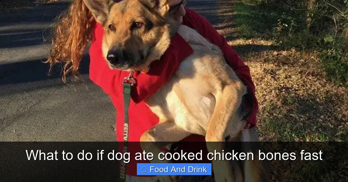 What to do if dog ate cooked chicken bones fast