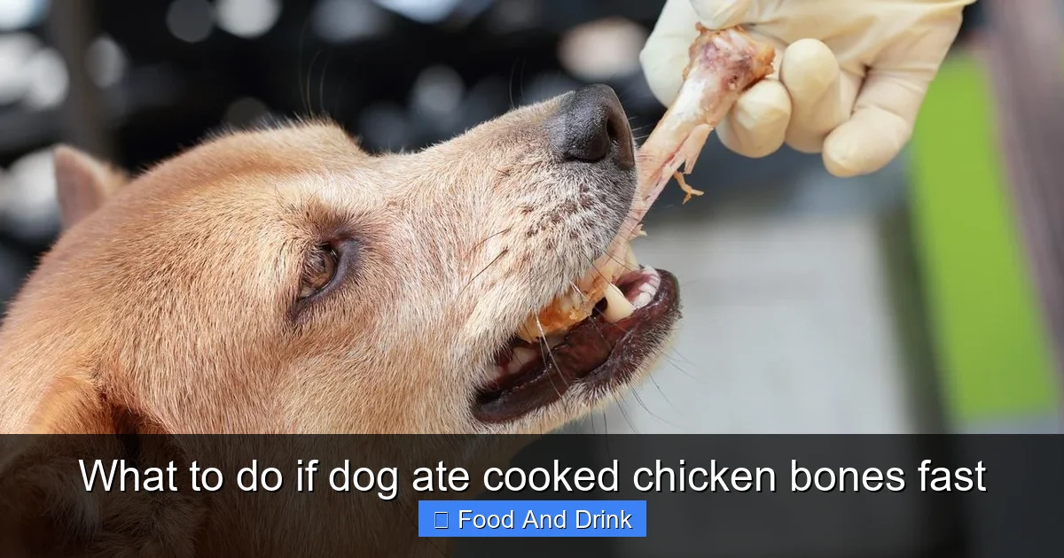 What to do if dog ate cooked chicken bones fast