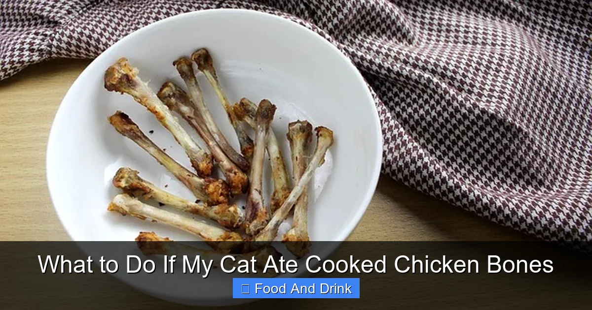 What to Do If My Cat Ate Cooked Chicken Bones