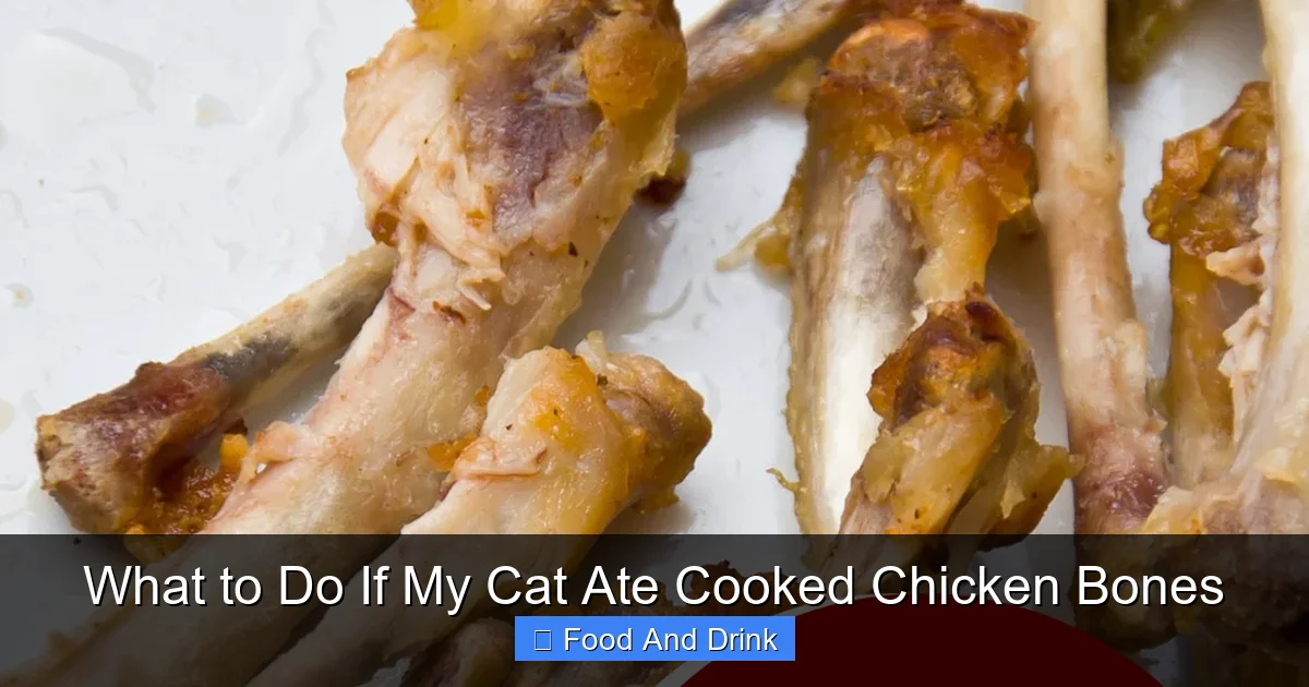 What to Do If My Cat Ate Cooked Chicken Bones
