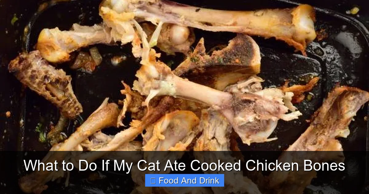 What to Do If My Cat Ate Cooked Chicken Bones