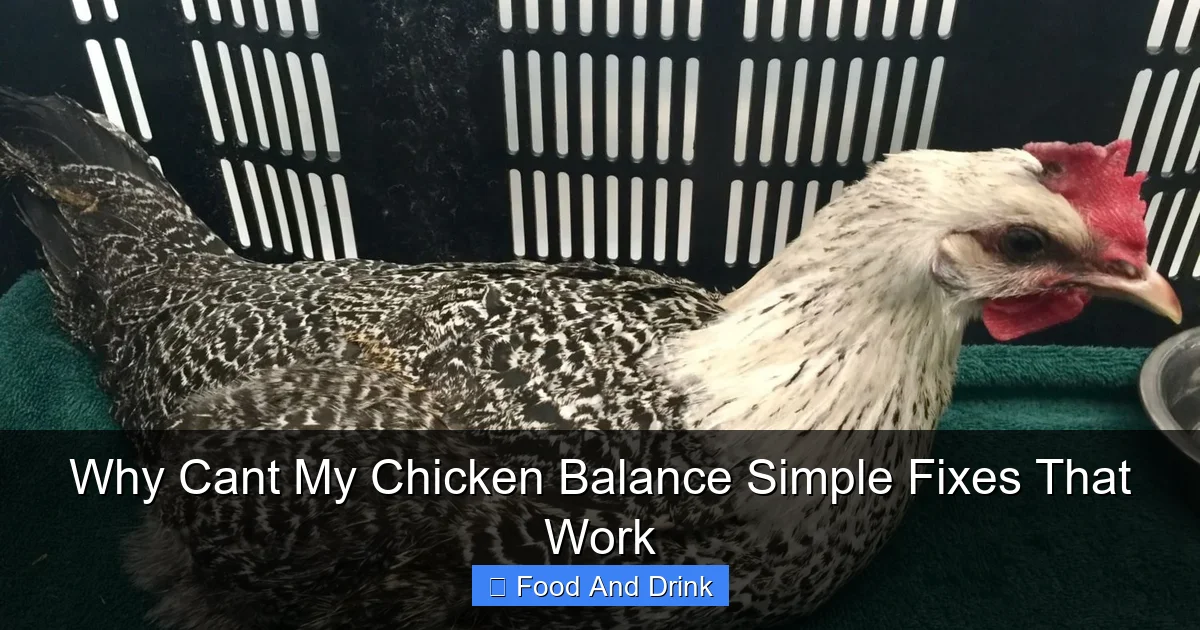 Why Cant My Chicken Balance Simple Fixes That Work