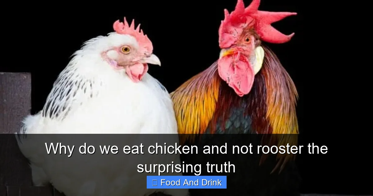Why do we eat chicken and not rooster the surprising truth